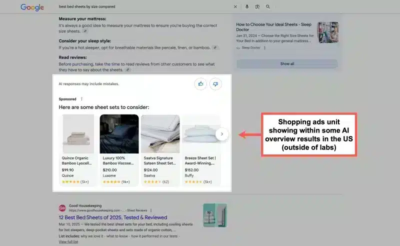 Ai overview ads